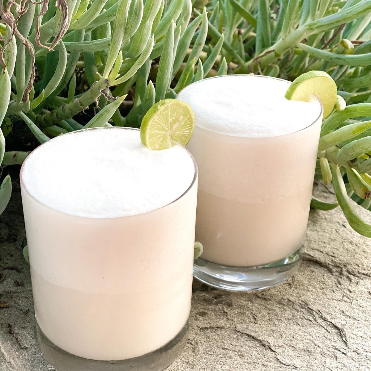 Skinny Coconut Lime Margarita cocktail made with Octavio Tequila