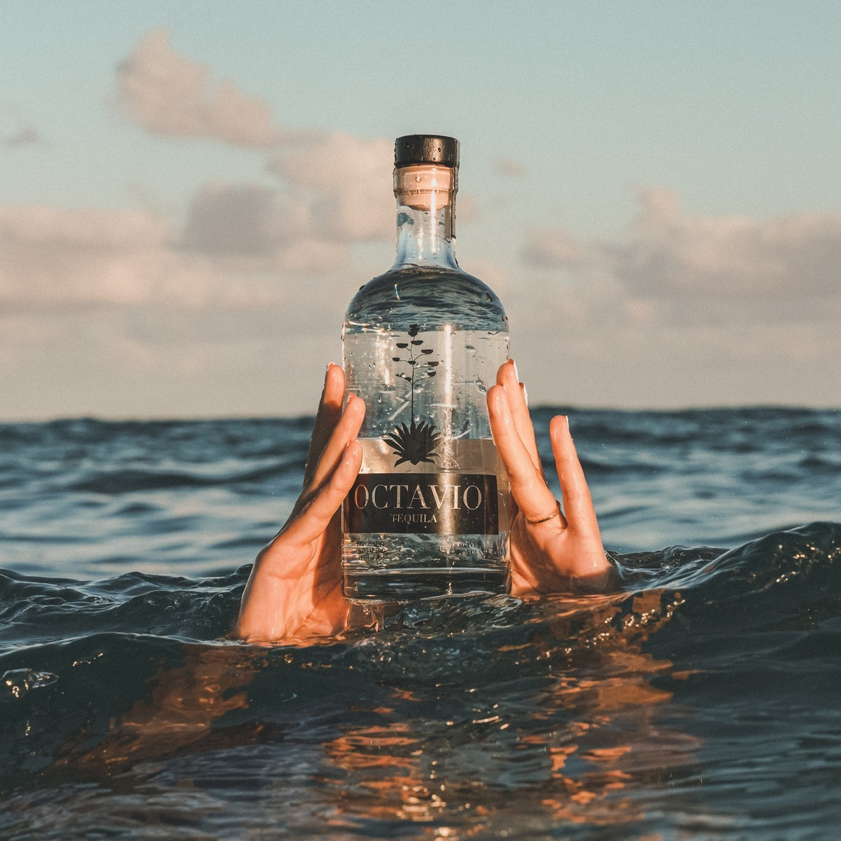 cristalino held in ocean