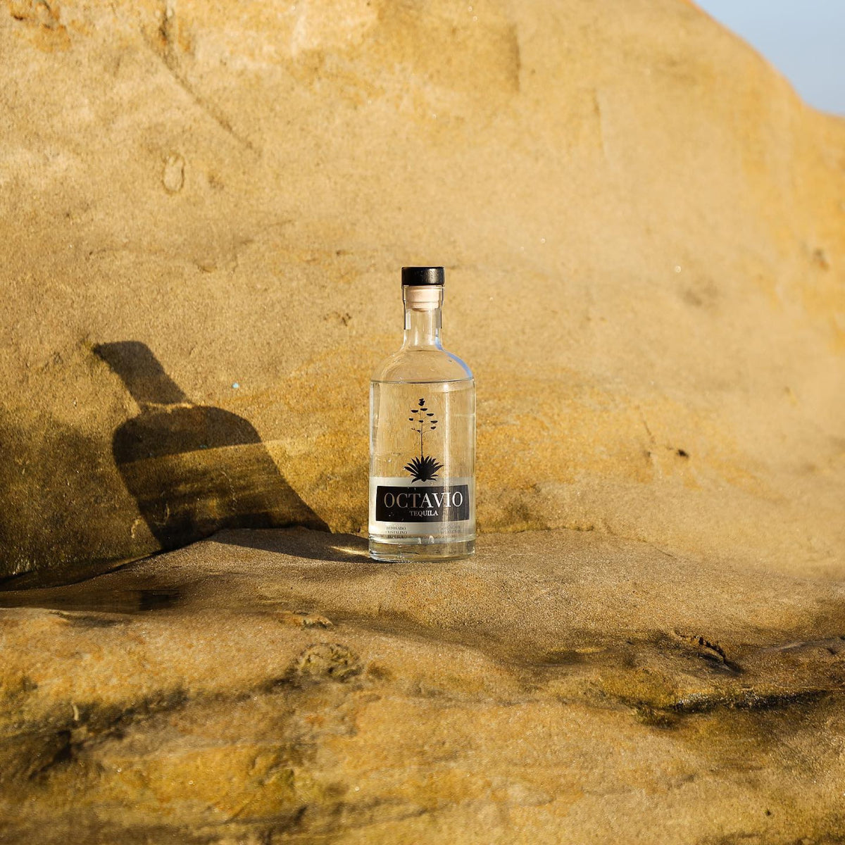 Octavio Tequila