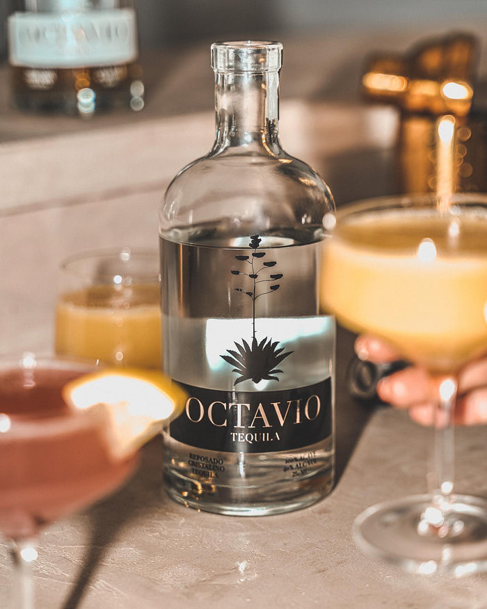 Octavio Tequila